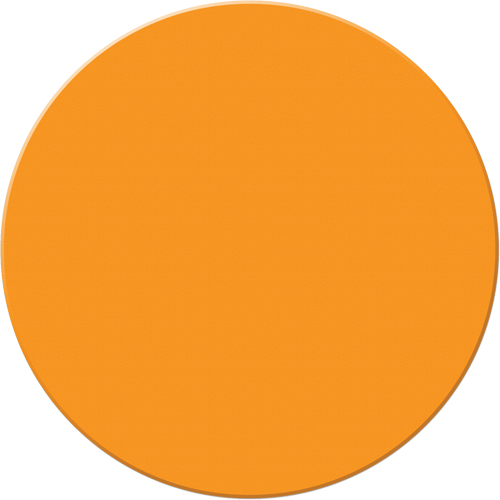 Marqueurs all&eacute;g&eacute;e/5S Armor Stripe, Cercle, 6" lo x 6" la, Orange, Plastique Toolneeds Inc.