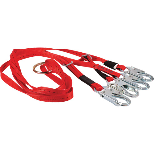 Dynamic Bridle for Wire Basket Stretcher Toolneeds Inc.