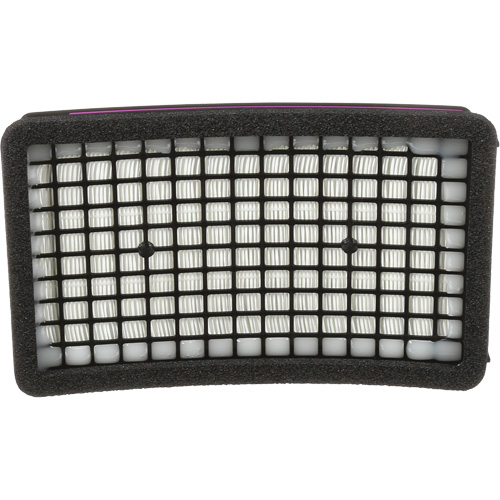 Speedglas HE PAPR Cartridge, P100 Filter, Pack of 1 Toolneeds Inc.