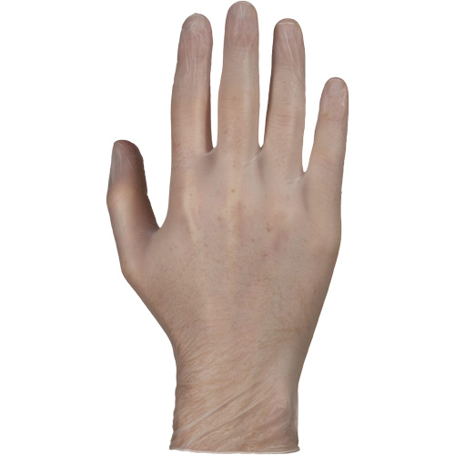 Gants jetables, Petit, Vinyle, 4 mils, Sans poudre, Blanc Toolneeds Inc.