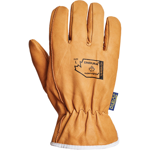 Endura&reg; Driver's Glove, Small, Grain Goatskin Palm, Thinsulate Inner Lining Toolneeds Inc.