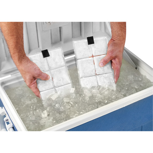 Sachets pour veste de refroidissement &agrave; changement de phase 6260 Chill-Its Toolneeds Inc.