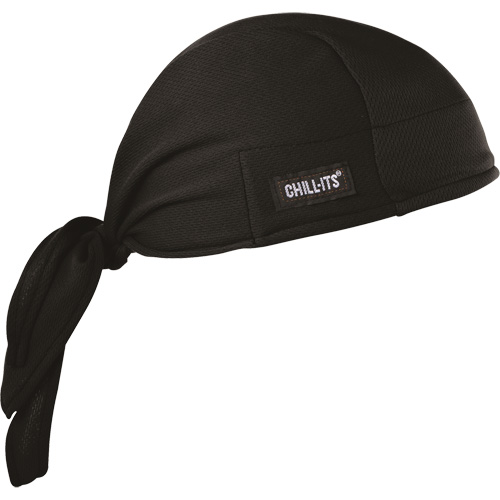 Coiffe de refroidissement Chill-Its 6615, Noir Toolneeds Inc.