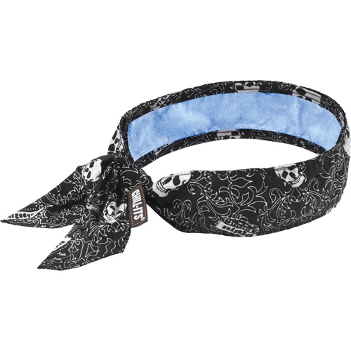 Foulard de refroidissement Chill-Its 6700CT, Multicolore Toolneeds Inc.