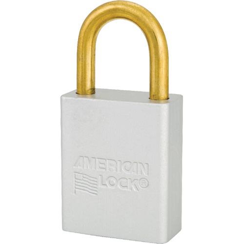 Cadenas de s&eacute;curit&eacute; American Lock, Transparent, Cl&eacute;s identiques, Aluminium, Largeur de 1-1/2" Toolneeds Inc.