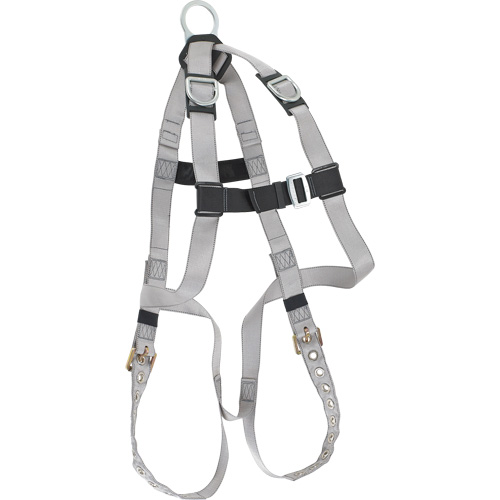 Harnais &eacute;conomique de conformit&eacute; B Dynamic, Certifi&eacute;e CSA, Classe AE, Cap. 310 lb Toolneeds Inc.