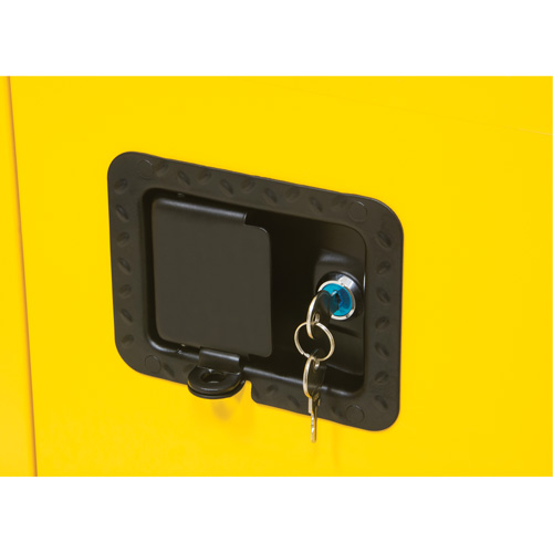 Flammable Storage Cabinet, 30 gal., 2 Door, 43" W x 44" H x 18" D Toolneeds Inc.