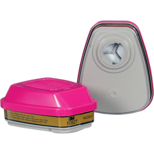 Cartouche, Combinaison cartouche et filtre contre les particules pour gaz/vapeurs, Gaz multiples/Vapeurs/P100 Toolneeds Inc.