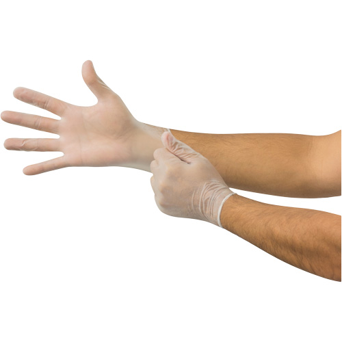 MicroFlex&reg; Disposable Gloves, Small, Vinyl, 2.8-mil, Powder-Free, Clear Toolneeds Inc.