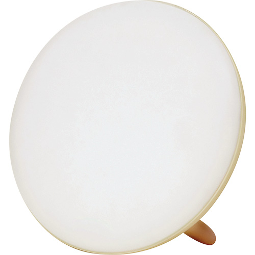 Jumbo Therapy Light for Seasonal Affective Disorder Toolneeds Inc.