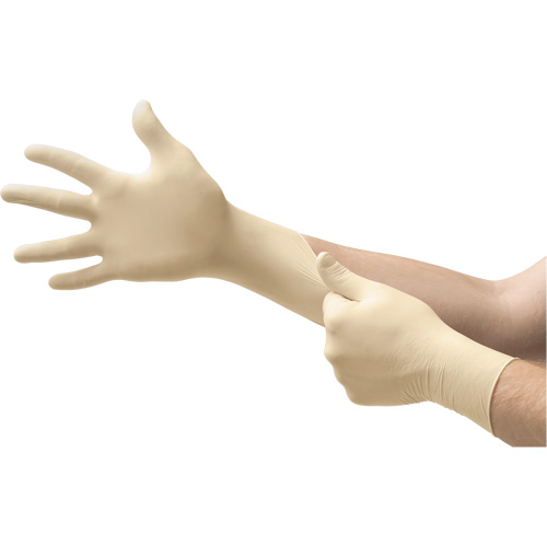 Gants d'examen MICROFLEX Ultra One, 10/9,5/T-Grand, Latex, 9,8 mils, Sans poudre, Naturel, Classe 2 Toolneeds Inc.