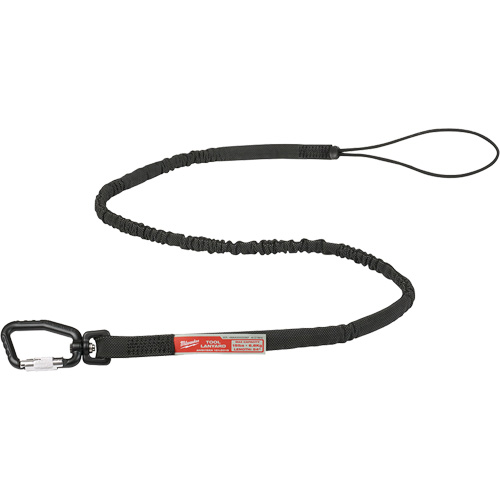 Extended Reach Locking Tool Lanyard, Bungee, Carabiner/Loop Toolneeds Inc.