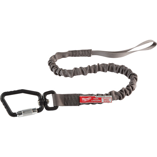 Locking Tool Lanyard, Bungee, Carabiner/Loop Toolneeds Inc.