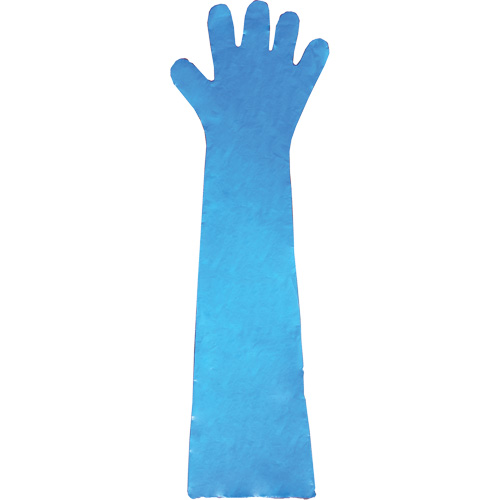 Disposable Gloves, Polyethylene, Powder-Free, Blue Toolneeds Inc.