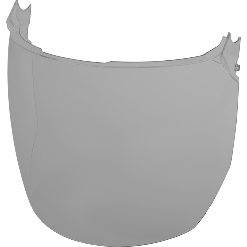 Lentilles de remplacement d&eacute;cran facial, Polycarbonate, Teinte Grise/fum&eacute;e Toolneeds Inc.