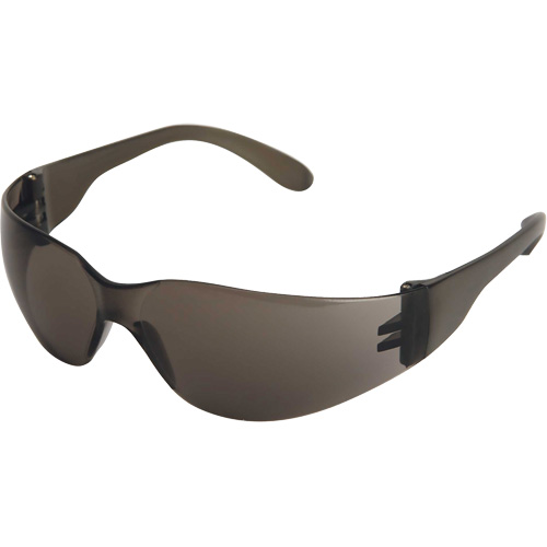 X300 Lunettes de s&eacute;curit&eacute;, Lentille Fum&eacute;e, Anti-&eacute;gratignures, ANSI Z87+/R&eacute;pond ou surpasse la norme CSA Z94.3 Toolneeds Inc.