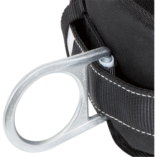 WB-6020-XL Safety Positioning 2 Side D-Rings Belt with Padded Lumbar Support - X-Large Toolneeds Inc.
