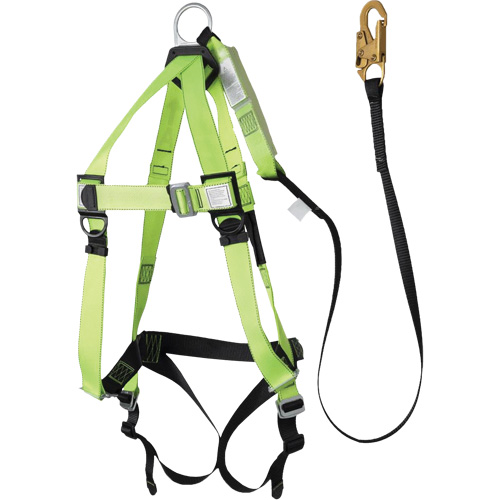 FBH-10000A5440-6 Harnais & longe classe A de 6' avec capacit&eacute; de 220 lb, Combinaison harnais/longe Toolneeds Inc.