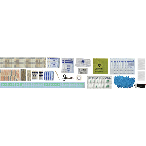 Shield First Aid Kit, Meets/Exceeds CSA Z1220-24 Type 2 Low-Risk Environment, Medium (26-50 Workers) Toolneeds Inc.