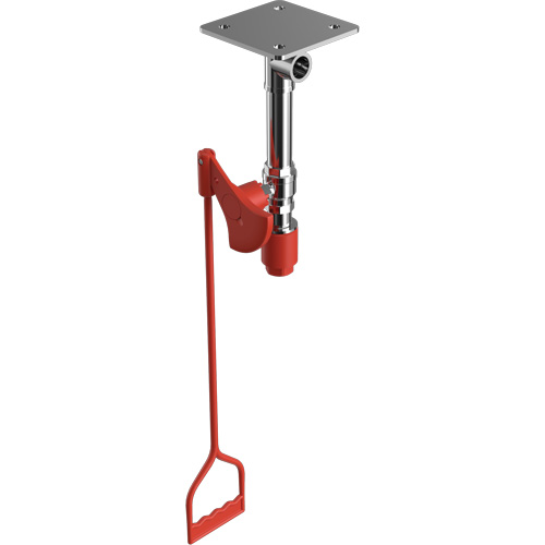 Drench Shower, Ceiling-Mount Toolneeds Inc.