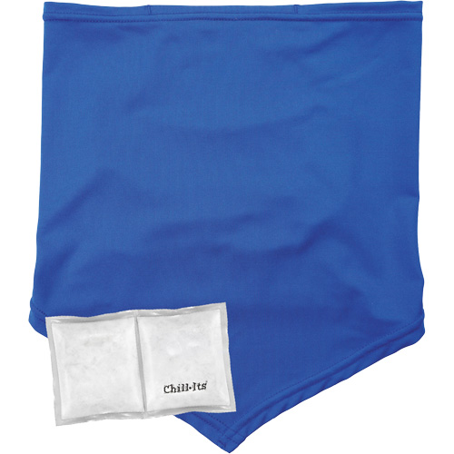 Cache-cou/bandana de refroidissement Chill-Its 6482 avec sachet r&eacute;frig&eacute;rant &agrave; changement de phase r&eacute;utilisable, grand/tr&egrave;s-grand, Bleu Toolneeds Inc.