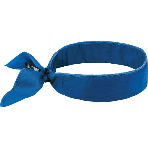 Chill-Its 6702 Cooling Headband with Embedded Polymers & Tie Closure, Blue Toolneeds Inc.