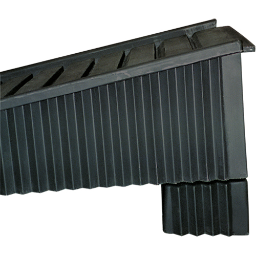 Rallonge pour rampe Toolneeds Inc.