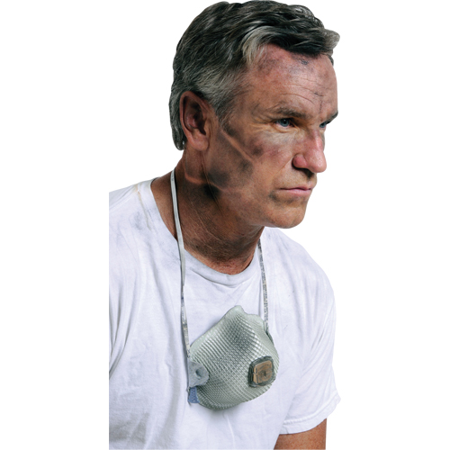 2700 Particulate Respirators, N95, NIOSH Certified, Large/Medium Toolneeds Inc.