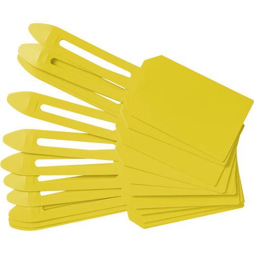 &eacute;tiquettes de cadenassage vierges en plastique, Plastique, 3-1/4" la x 5-4/5" h, Vierge Toolneeds Inc.