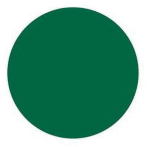 Round Write-On Labels, Circle, 1.5" L x 1.5" W, Green Toolneeds Inc.
