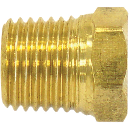 Bouchon de tuyau (t&ecirc;te hexagonale), 1/4" dia., Laiton Toolneeds Inc.