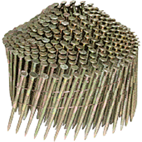 Clous ordinaires Toolneeds Inc.