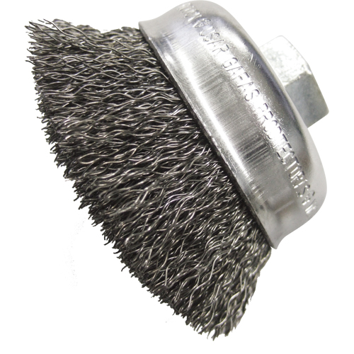 Brosses-boisseau &agrave; fils cr&ecirc;p&eacute;s 3 1/2" Toolneeds Inc.