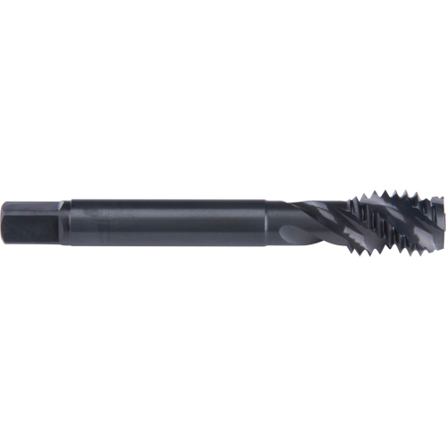 45° Spiral Flute Tap, High Speed Cobalt, 3/4"-10 Thread, 4-1/4" L Toolneeds Inc.