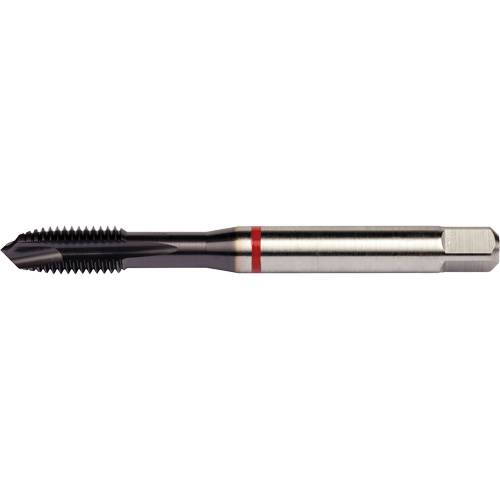 Taraud &agrave; entr&eacute;e h&eacute;licoidale Red Shark, Acier rapide au cobalt, Filet de 3/8"-16, 3,543" l Toolneeds Inc.