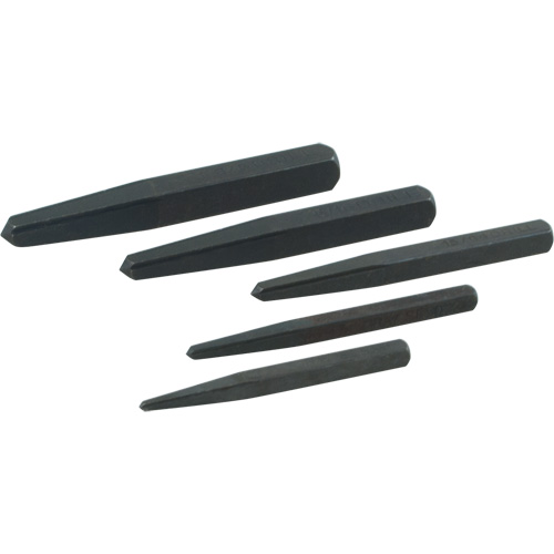 Straight Type Extractor Set, 5 Pieces Toolneeds Inc.