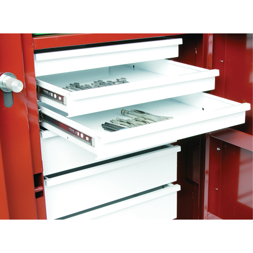 Rolling Work Bench, 49-7/8" W x 40-5/8" H x 26-7/8" D, 24.6 Cubic Feet Capacity Toolneeds Inc.