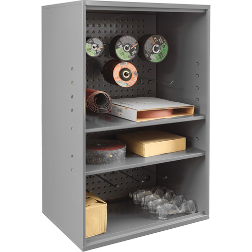 Armoire d'entreposage de produits abrasifs avec panneau perfor&eacute;, Acier, 19-7/8" x 14-1/4" x 32-3/4", Gris Toolneeds Inc.