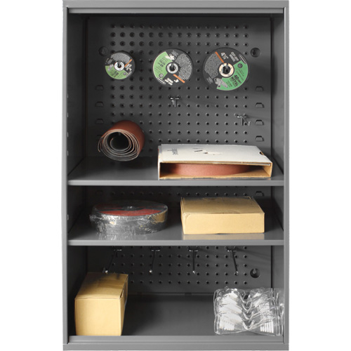 Armoire d'entreposage de produits abrasifs avec panneau perfor&eacute;, Acier, 19-7/8" x 14-1/4" x 32-3/4", Gris Toolneeds Inc.