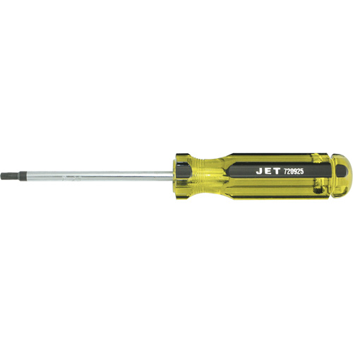 Tournevis avec manche g&eacute;ante TORX Toolneeds Inc.