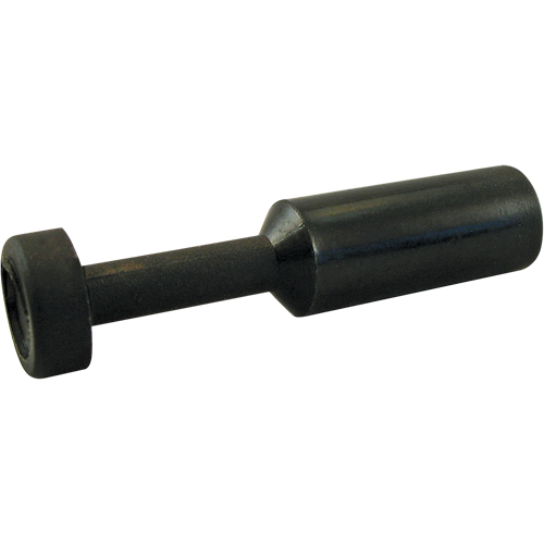 P.t.c. Plug Toolneeds Inc.