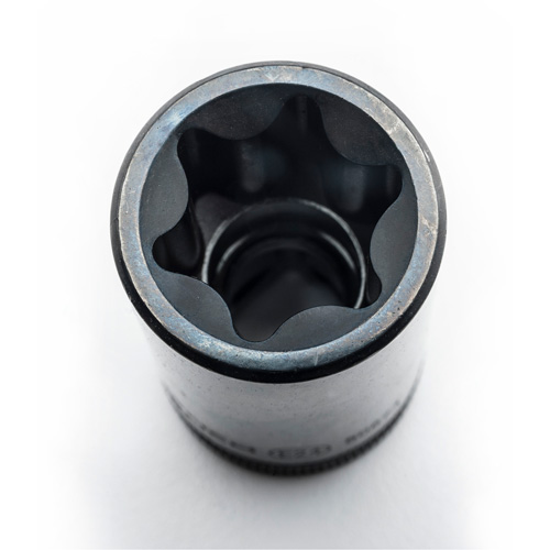 External Torx&reg; Socket Set, 1/2"/1/4"/3/8" Drive Toolneeds Inc.