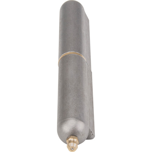 Charni&egrave;re &agrave; souder, 0,787" dia. x 5,906" lo, Acier doux a/goupille fixe en acier Toolneeds Inc.
