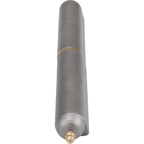 Charni&egrave;re &agrave; souder, 0,906" dia. x 7,874" lo, Acier doux a/goupille fixe en acier Toolneeds Inc.