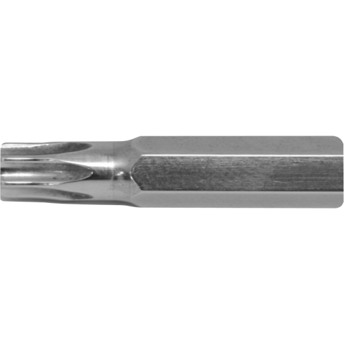 Stubby Multi-Bit Screwdriver -Replacement Bit, Torx, 7, 1/4" Drive Toolneeds Inc.