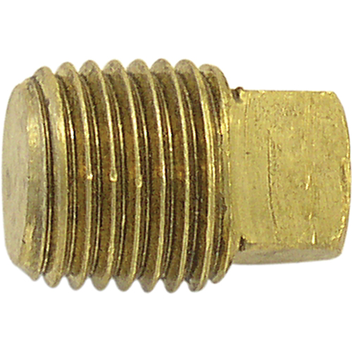 Pipe Plugs (Square Head), 1/4" Dia., Brass Toolneeds Inc.