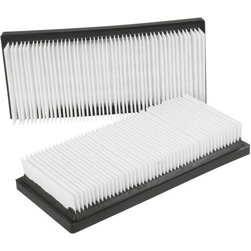 Main Flat Filters, Cartridge, Fits 12 US gal. Toolneeds Inc.