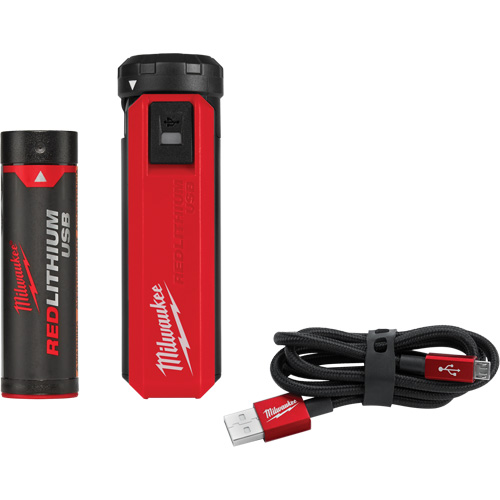 Redlithium USB Charger & Power Source Kit, 4 V, Lithium-Ion Toolneeds Inc.