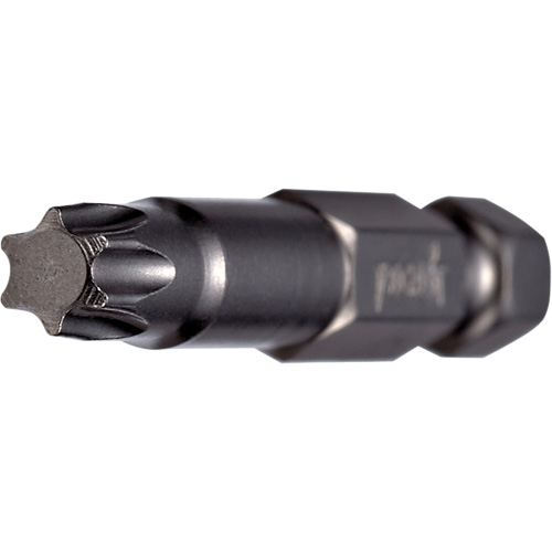 Embout pour outil &eacute;lectrique, Torx, Embout T-20, Prise 1/4", Longueur 2" Toolneeds Inc.