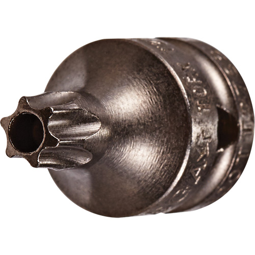 Embout &agrave; ins&eacute;rer, Torx inviolable, 8 x 3/4" lo, Prise 1/4" Toolneeds Inc.